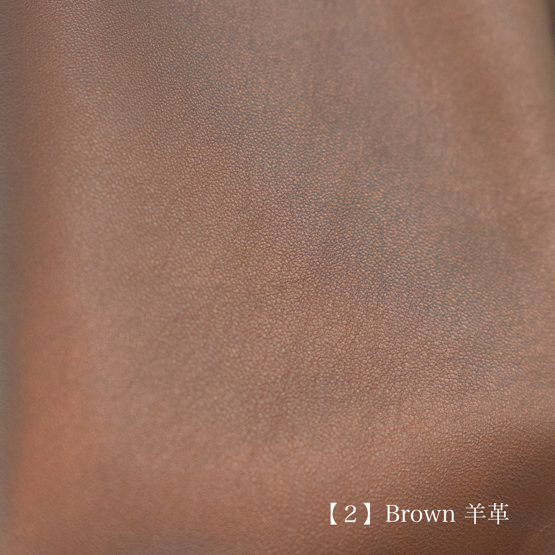 【受注生産】CINQUANTA/Exclusive Leather Riders Jacket