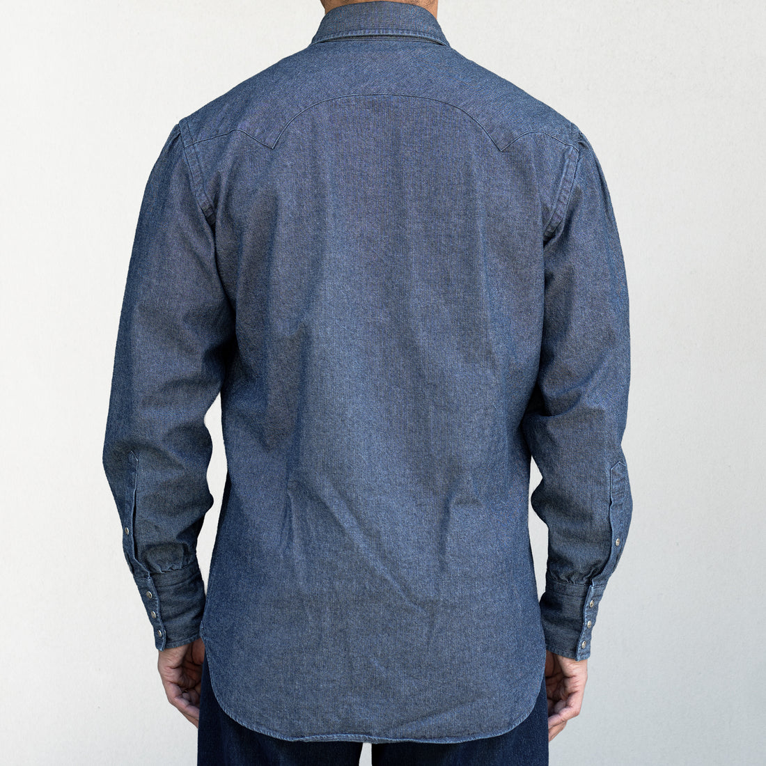 WEARLNESS/Dress Western Shirts