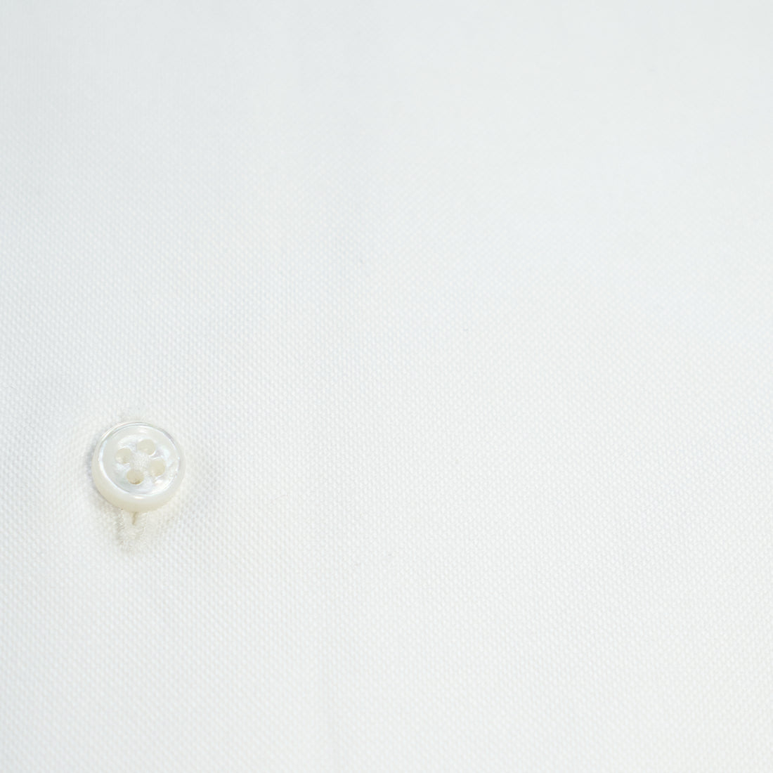 【Order】WEARLNESS/Long point regular collar shirt/White